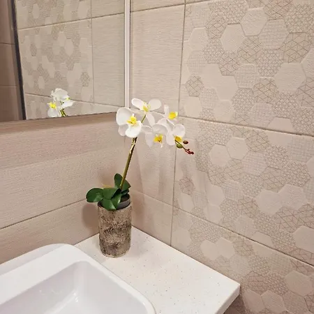 Ori Classy Apart Malul Muresului Arad Exterior photo