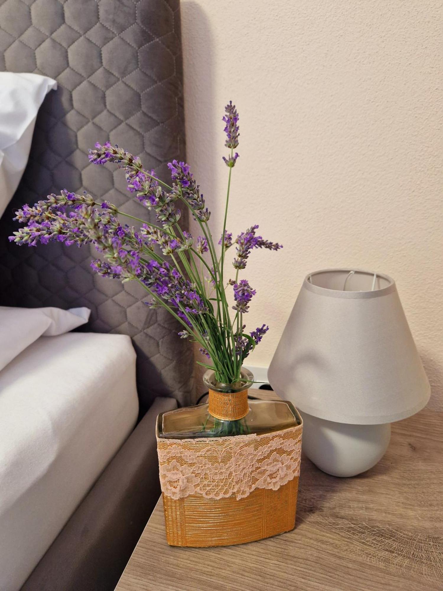 Ori Classy Malul Muresului Apartment Arad