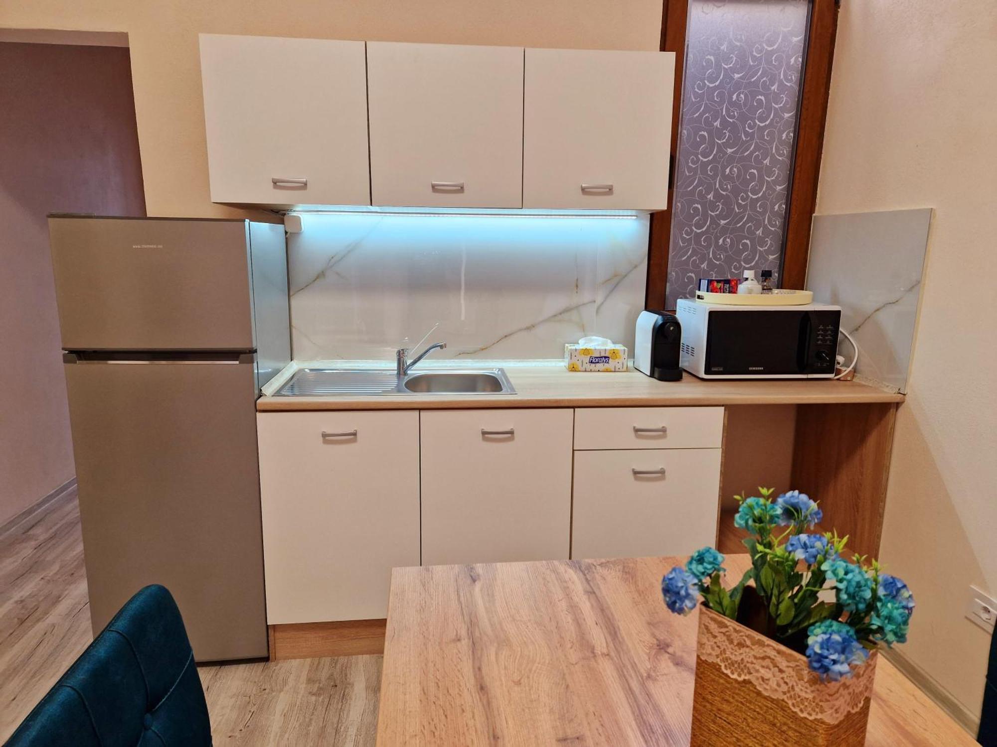 Apartment Ori Classy Malul Muresului Arad
